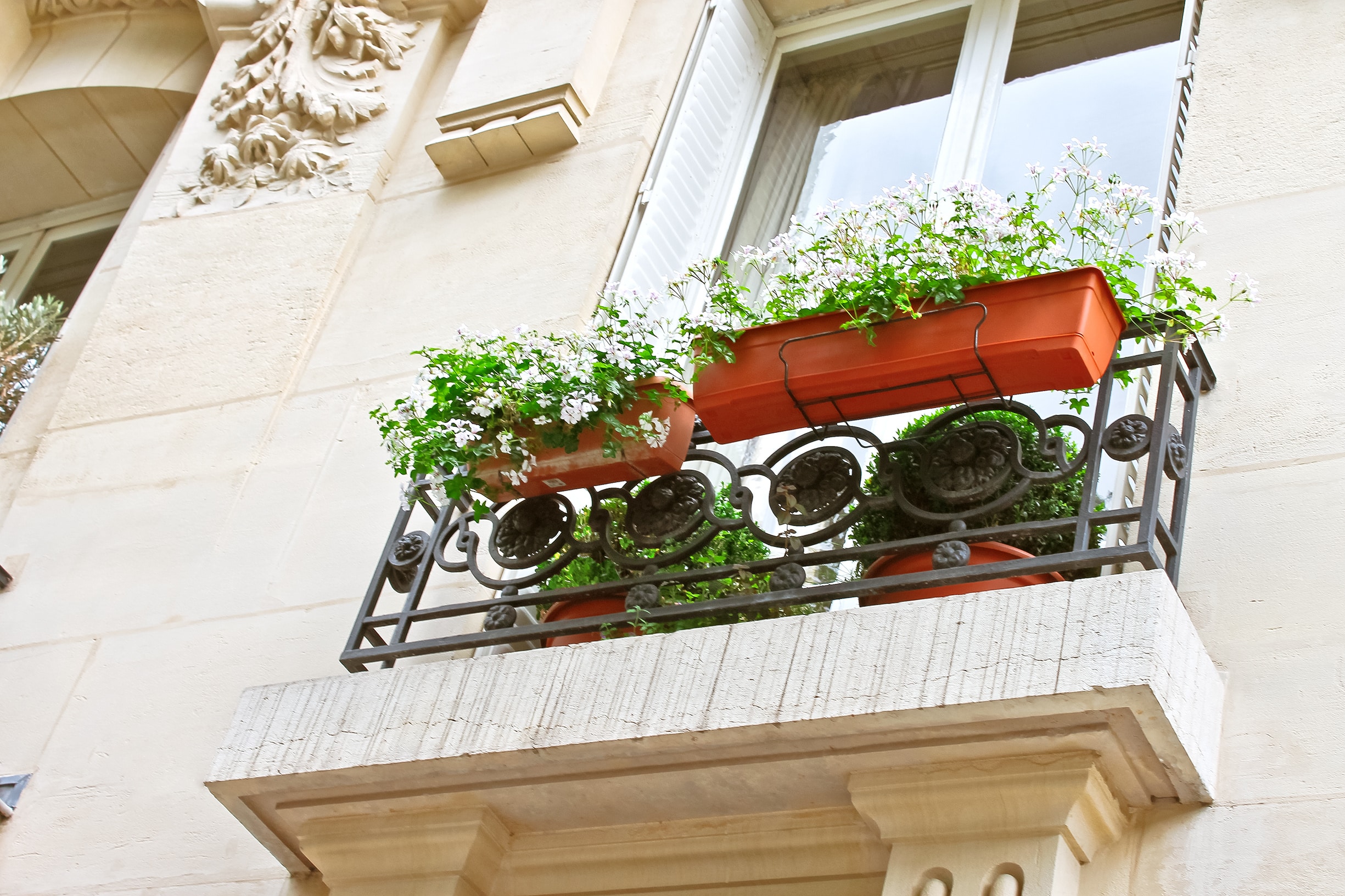 Flowers on the window Parisian house