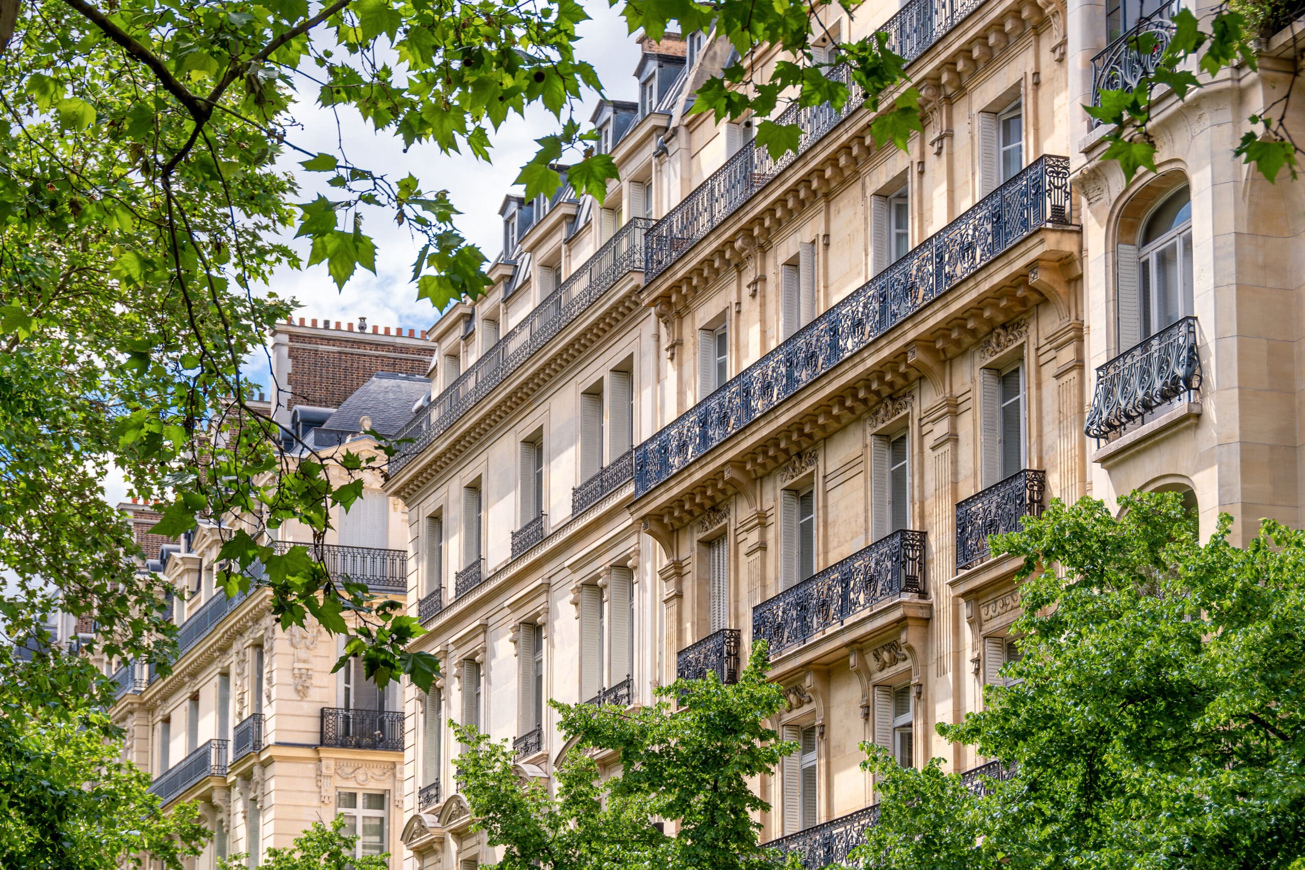 Façades d'immeubles résidentiels de style classique parisien le long d'une avenue bordée d'arbres